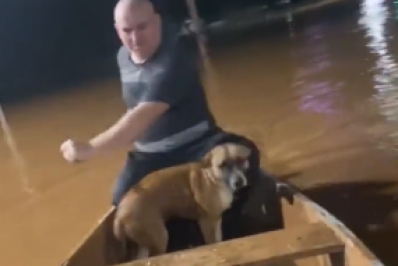 Pai e filha salvam cão no meio da enchente no Rio Grande do Sul