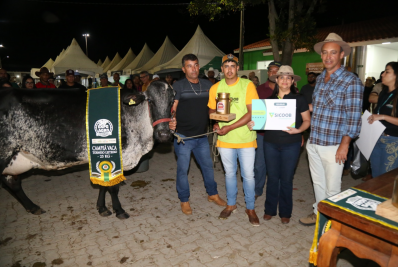 Mais de cinco milhões de quilos de leite em quatro dias de Concurso Leiteiro na ExpoAgro
