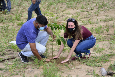 Meio Ambiente programa plantio de 150 mudas, para marcar o Dia da Árvore
