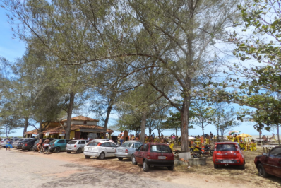 Ministério Público Federal determina retirada de casuarinas de orla marítima