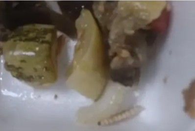 Paciente internada no Raul Sertã encontra lagarta em quentinha