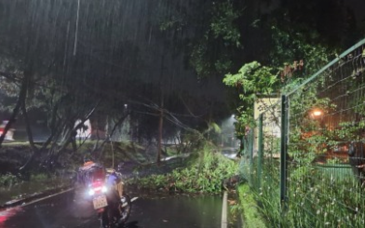 Devido &agrave;s chuvas uma &aacute;rvore caiu no Itanhang&aacute;, na Zona Oeste - Divulga&ccedil;&atilde;o/COR