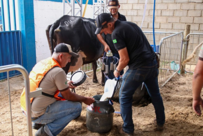 Concurso supera expectativa e reforça potencial da pecuária leiteira sanjoanense