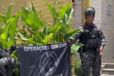 PM apreende grande quantidade de drogas no Jacarezinho