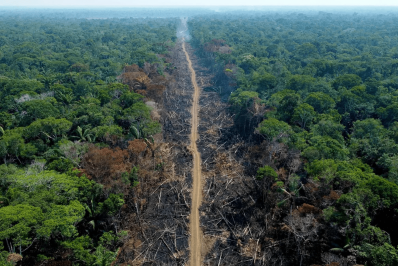 Desmatamento na Amazônia cai, mas queimadas crescem; veja dados dos governos mais recentes