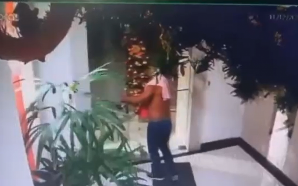 Rapaz entrou no prédio em Santa Teresa e levou a árvore de natal da portaria - Reprodução / TV Globo