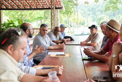 Doença vegetal ameaça produção de bananais e município intensifica combate