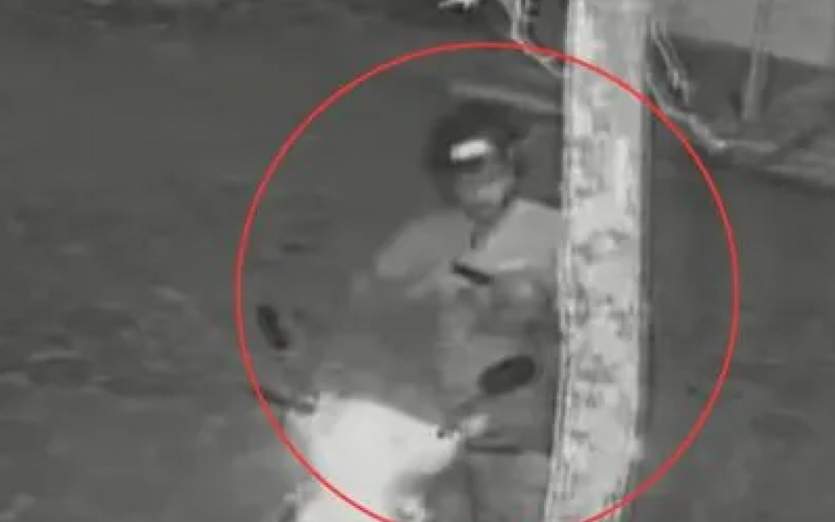 Momento em que GCM puxa pistola e atira contra a cabeça do próprio cachorro