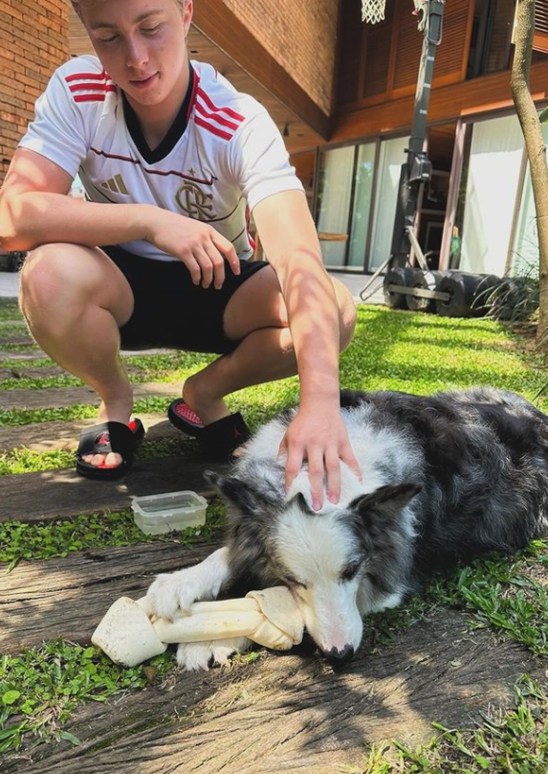 Berenice, cadelinha de estimação de Angélica, ao lado de Benício, filho do meio da apresentadora - Reprodução / Instagram