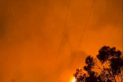 Incêndios florestais no Chile deixam pelo menos 19 mortos e destroem mais de mil casas