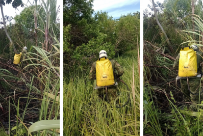Incêndio atinge vegetação no Caiçara, em Arraial do Cabo