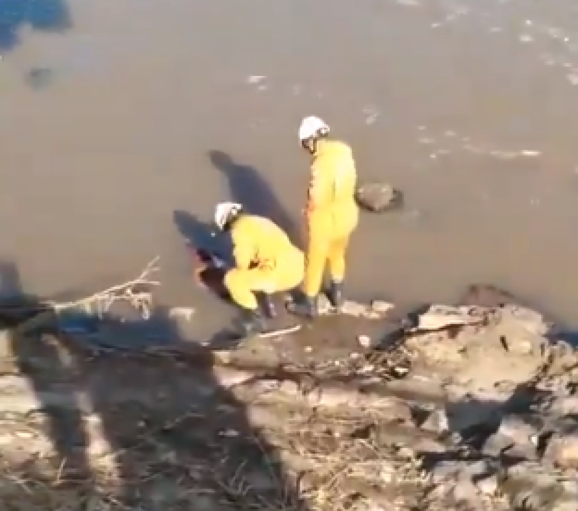 Bombeiros chegam a remover o homem de dentro do rio achando que ele estaria morto - Reprodução