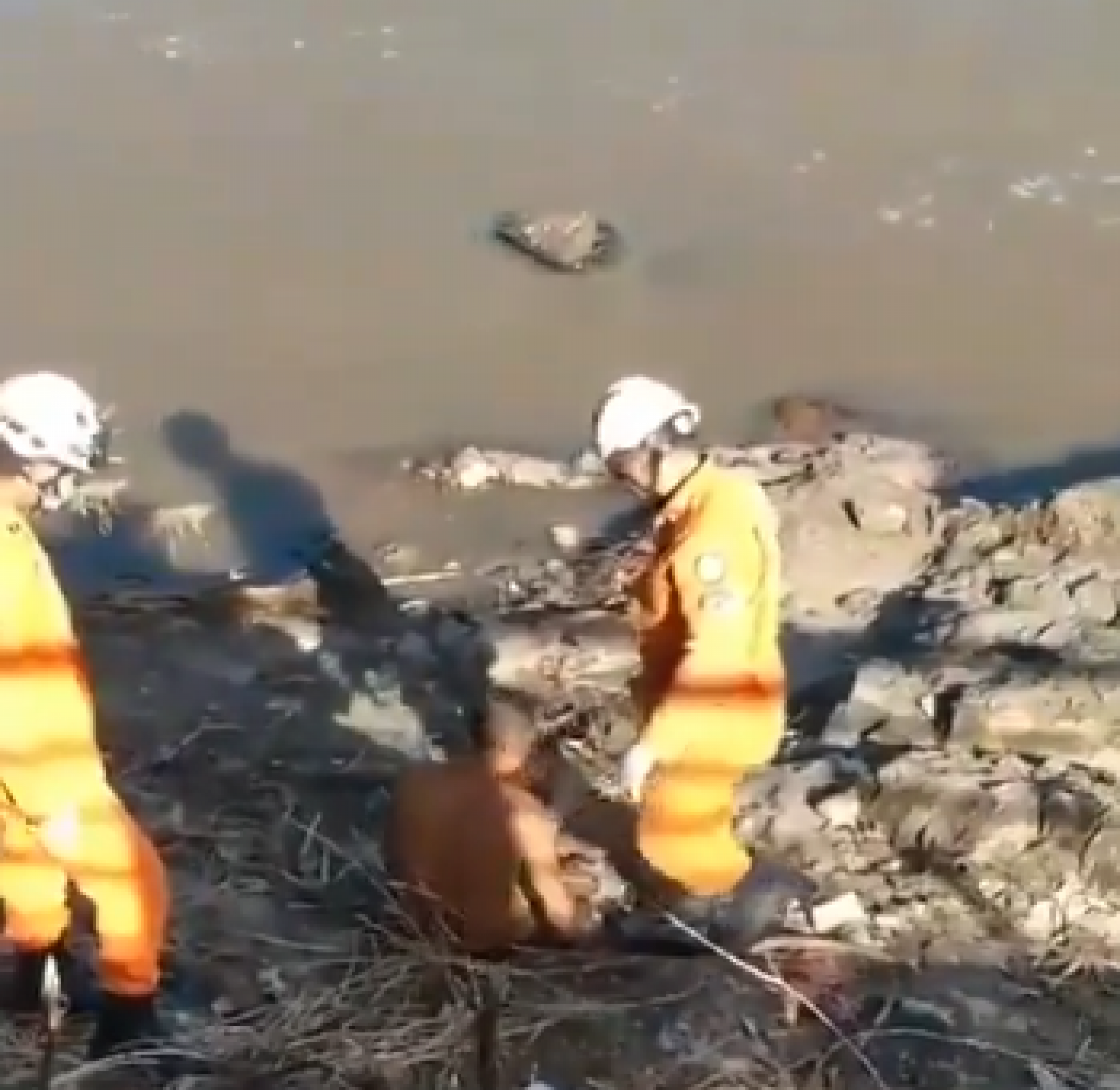 Até o momento em que ele acorda após ser arrastado pelos bombeiros até a margem - Reprodução