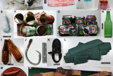 Boneca da Minnie, luvas e roupas: cientistas acham 13,8 kg de lixo no fundo mar em SP e SC