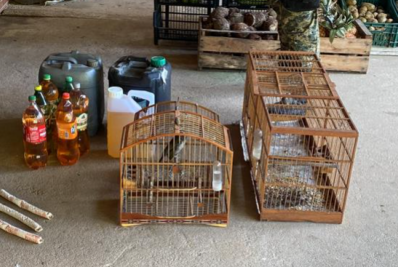 Dinamite, armas e pássaros são apreendidos pela Polícia Ambiental em Nova Friburgo