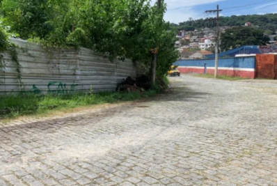 Homem de 35 anos morre em grave acidente em Nova Friburgo