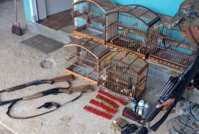 Armas, munições e pássaros são apreendidos em Nova Friburgo