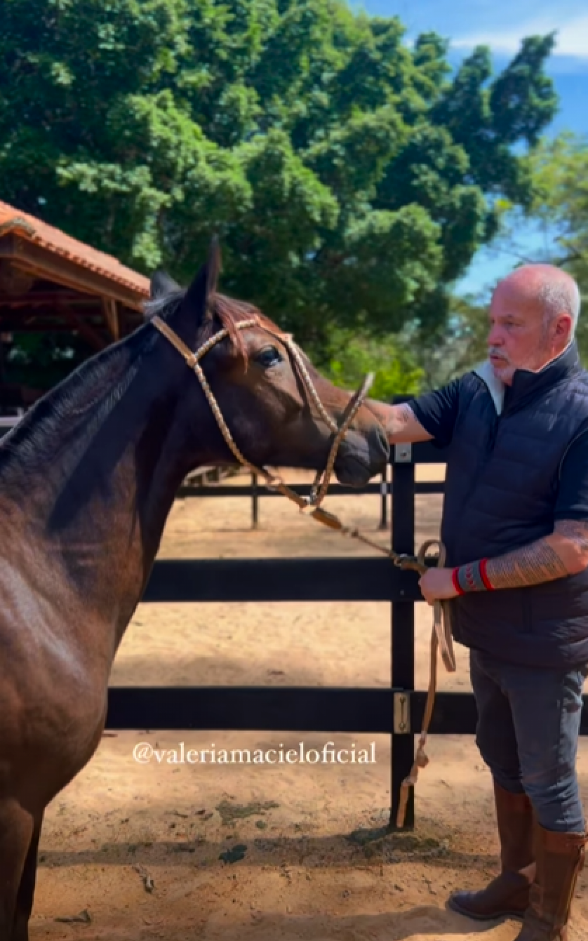 Jayme Monjardim doa dois cavalos para Matteus, finalista do BBB 24 - Reprodução/Instagram