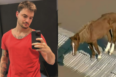Felipe Neto celebra resgate de cavalo Caramelo em RS e web reage
