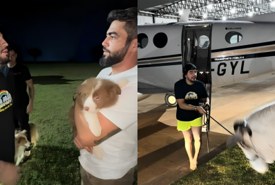 Nattan distrai Henrique e Juliano e 'sequestra' vaca premiada da dupla