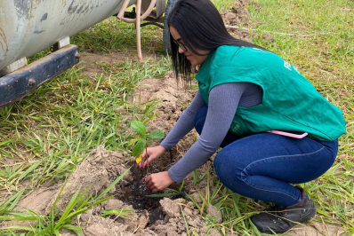 Semana Municipal de Meio Ambiente terá ações focadas na conscientização
