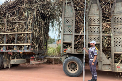 Carga de cana em excesso é coibida, para evitar que rede de energia seja rompida