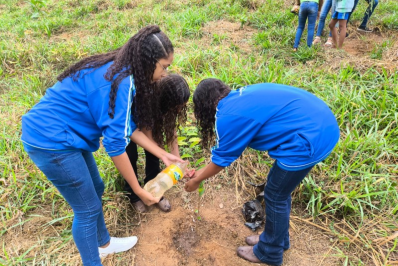 Calendário Ecológico do Meio Ambiente é definido com foco na preservação