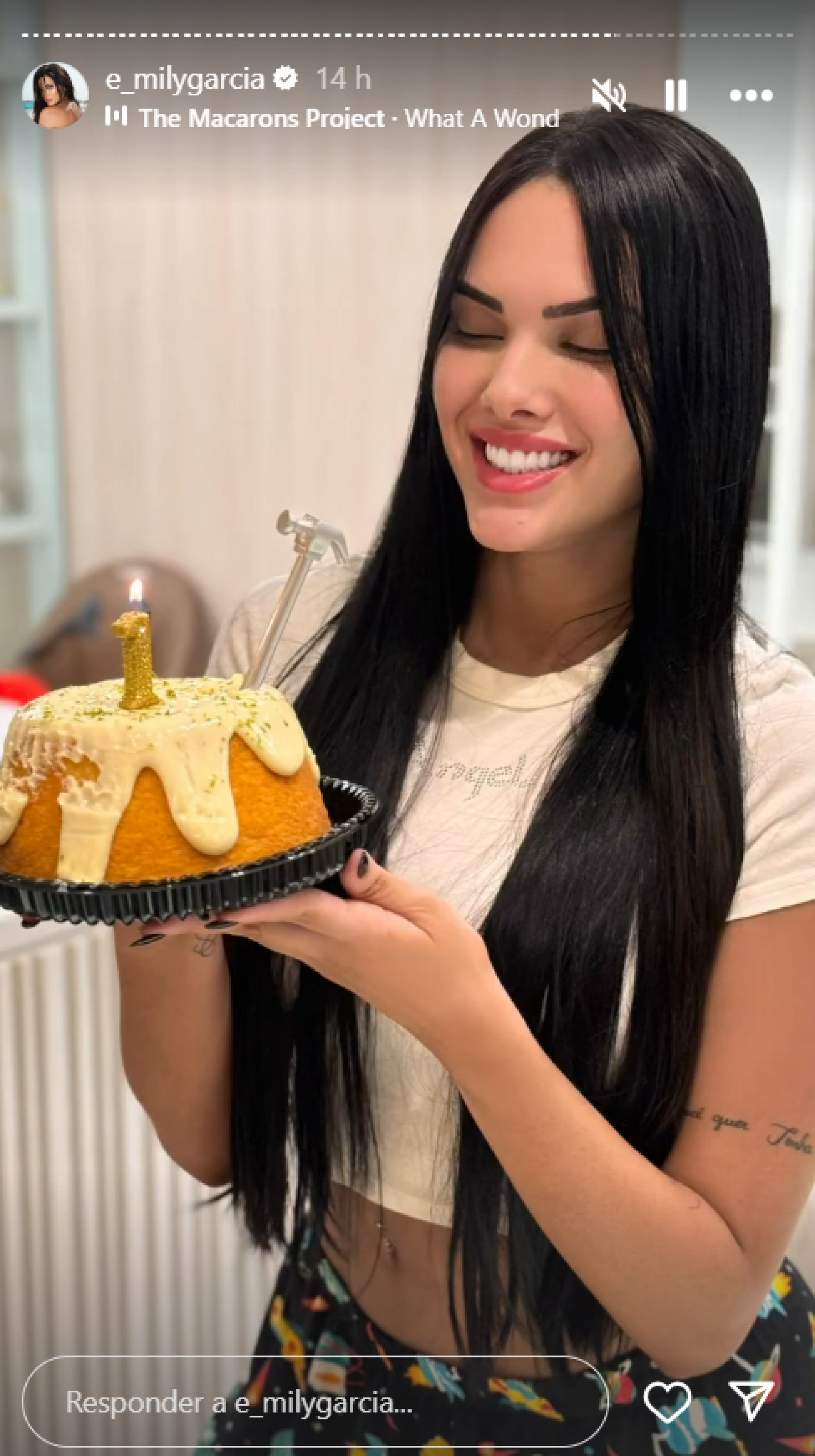 Emily Garcia comemora aniversário de barraco com martelo que viralizou - Foto: Reprodução