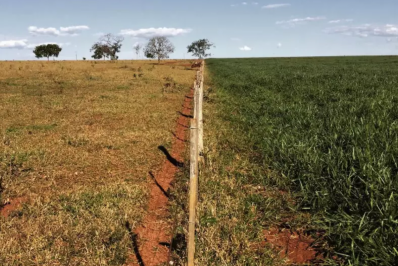 Brasil tem até 100 milhões de hectares de pastagens degradadas, diz Fávaro
