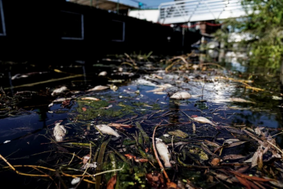 Rio Sena supera os limites de poluição a 35 dias de Paris-2024