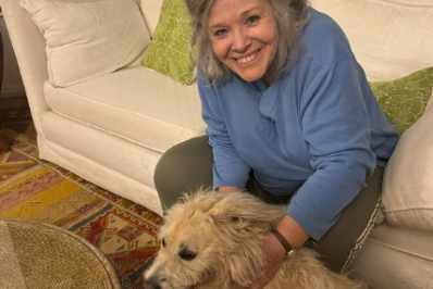 Escritora Rosiska Darcy de Oliveira encontra cão desaparecido: 'Uma grande alegria'