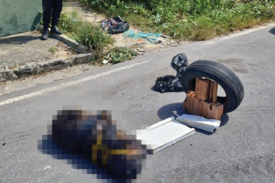 Vídeo: cadela grávida é encontrada morta e amarrada em via pública de Manaus