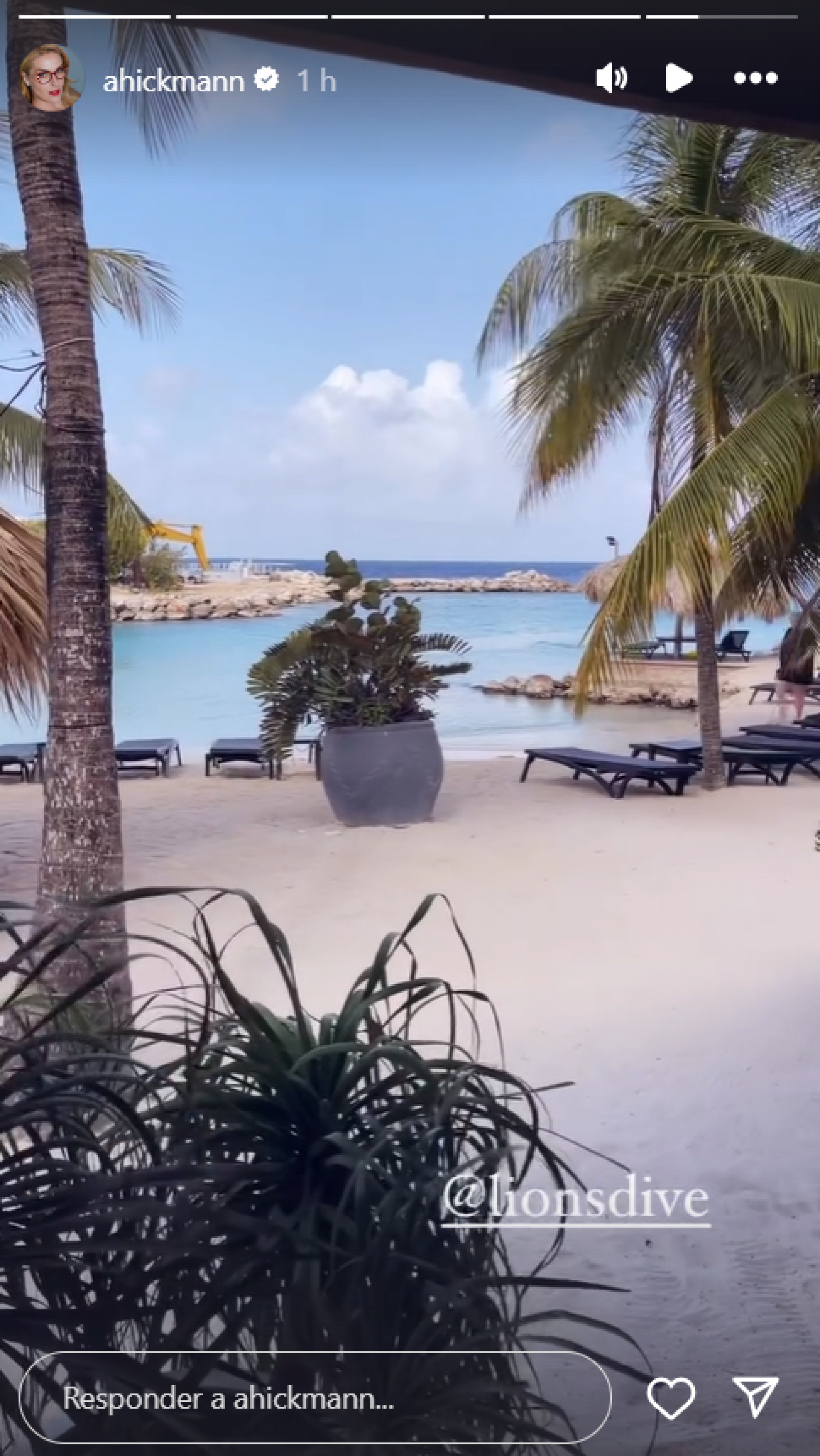 Ana Hickmann, Edu Guedes e filhos fazem primeira viagem internacional - Foto: Reprodução