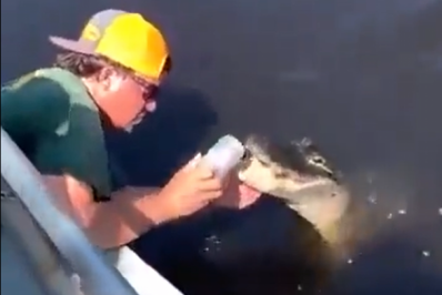 Vídeo: Americano utiliza jacaré vivo para abrir lata de cerveja e viraliza na internet