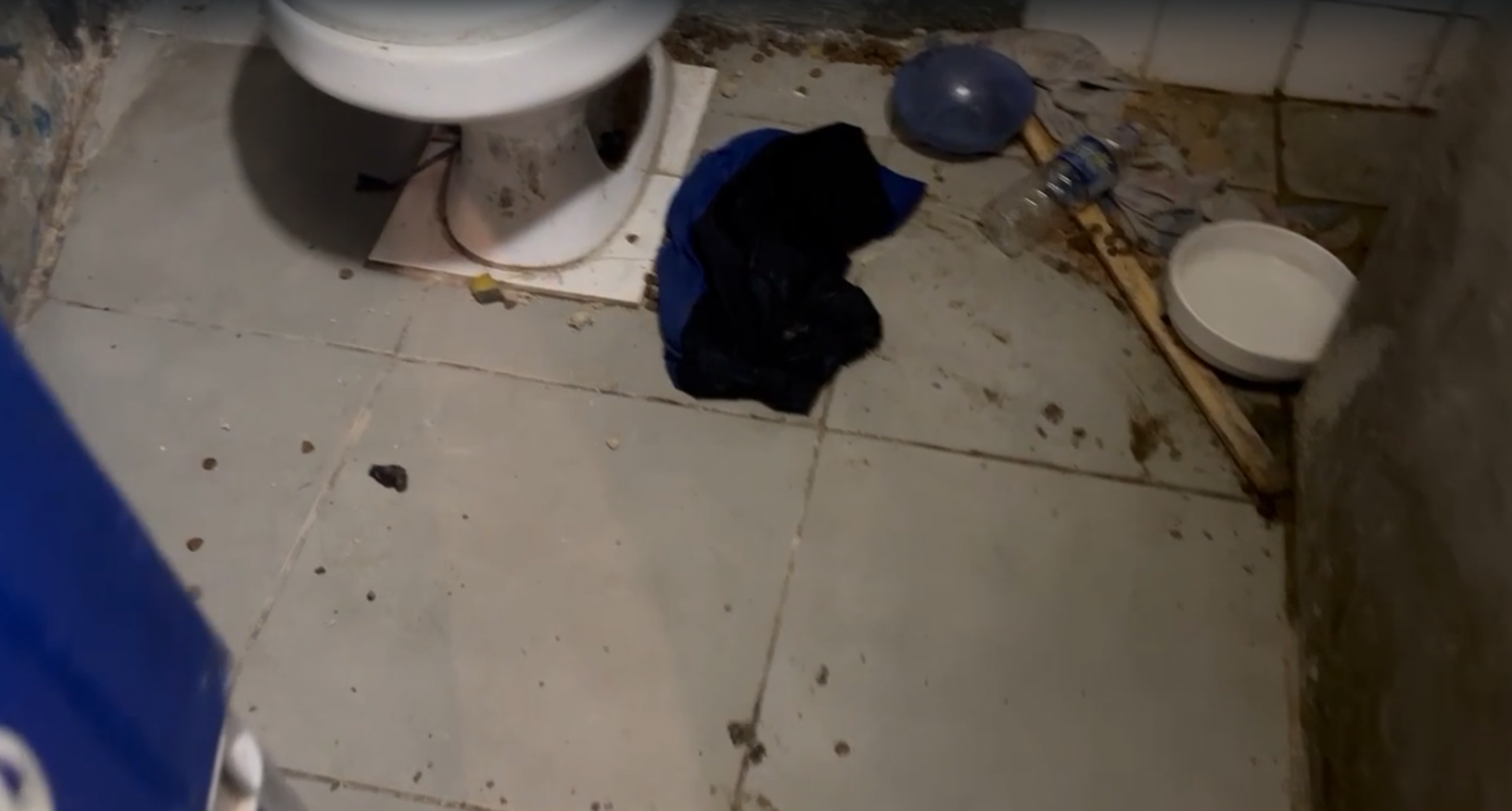 Banheiro onde cachorro ficava estava sujo e não tinha ventilação - Divulgação / Polícia Civil