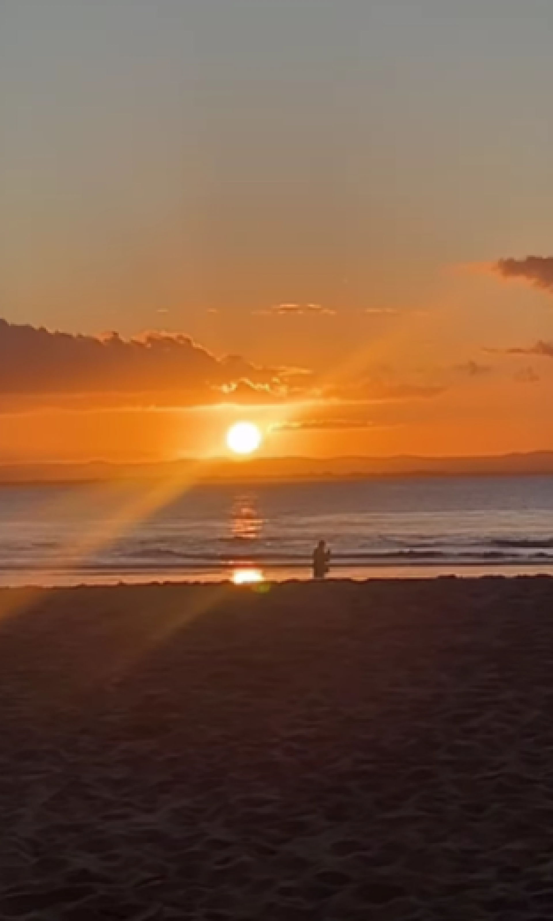 Pedro Scooby e Cintia Dicker mostram registros em família: 'Viagem dos sonhos' - Reprodução de vídeo / Instagram