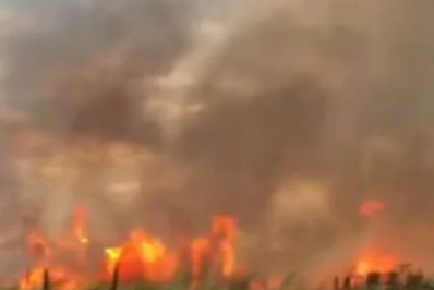 Área de vegetação é atingida por incêndio em Tamoios, distrito de Cabo Frio