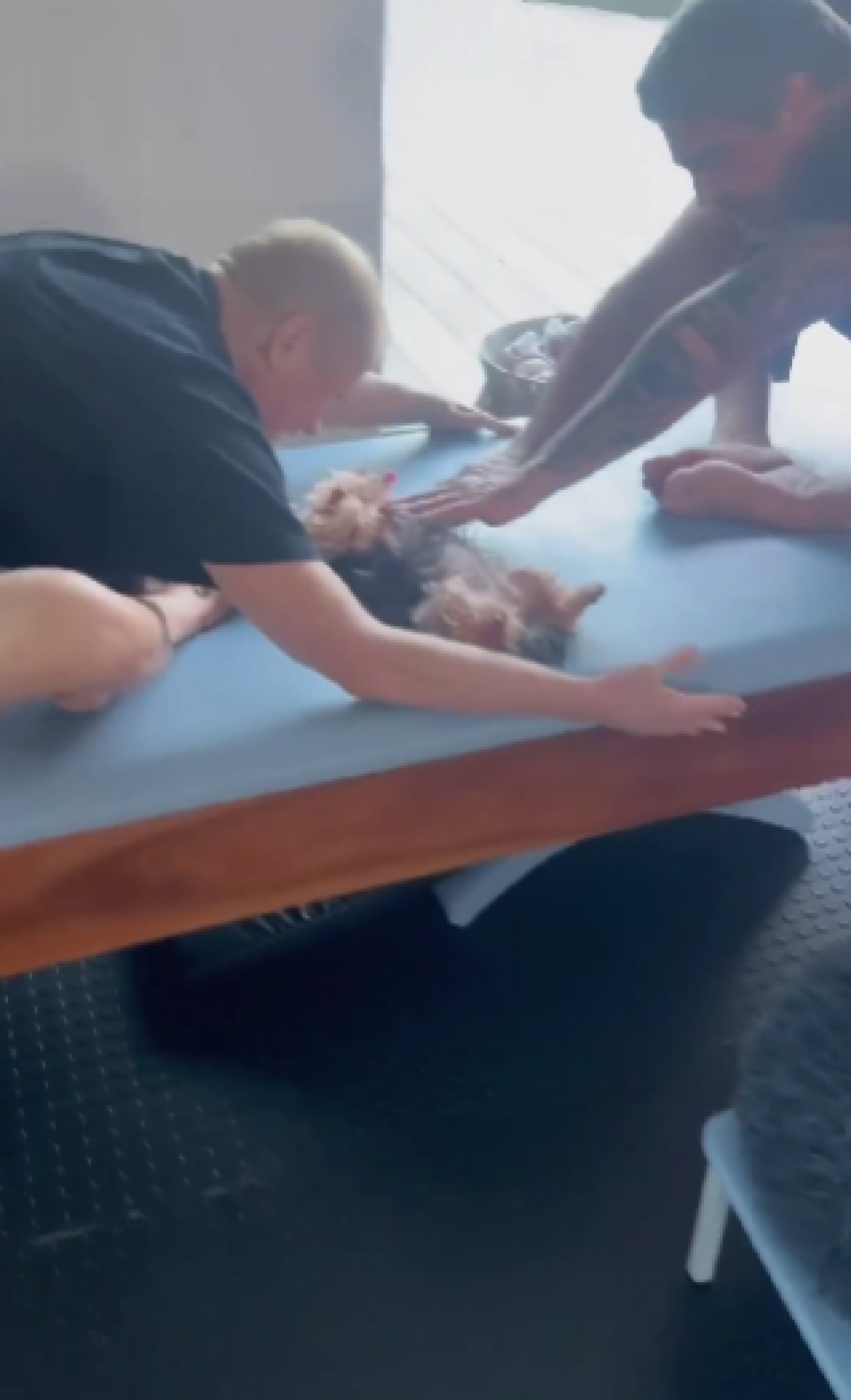 Xuxa mostra aula de pilates com Junno Andrade e a cachorrinha, Doralice - Reprodução de vídeo / Instagram