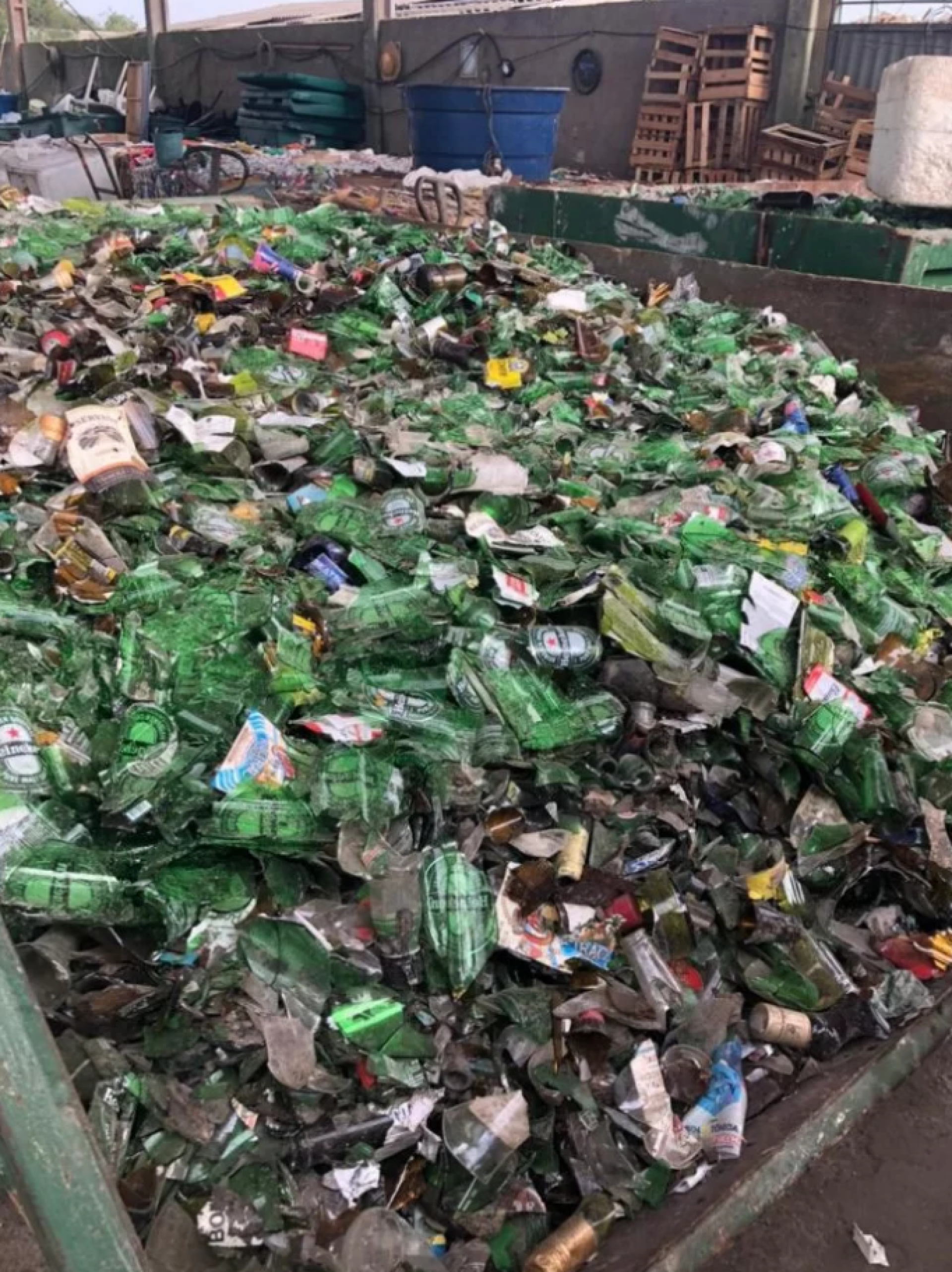 ?Programa Volte Sempre? em parceria com a Heineken