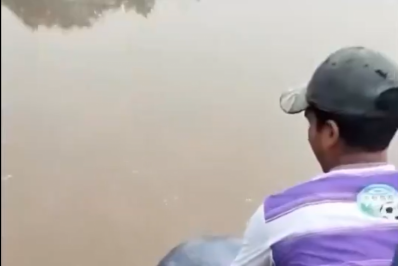 Vídeo: Ribeirinho resgata boto nos braços por seca em rio no Amazonas