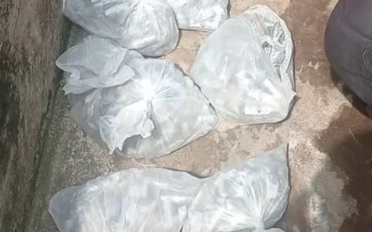 63 pinos de cocaína e R$ 20 em espécie