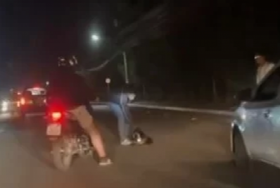 Ouriço-cacheiro ‘para’ o trânsito de Cabo Frio ao tentar atravessar rodovia