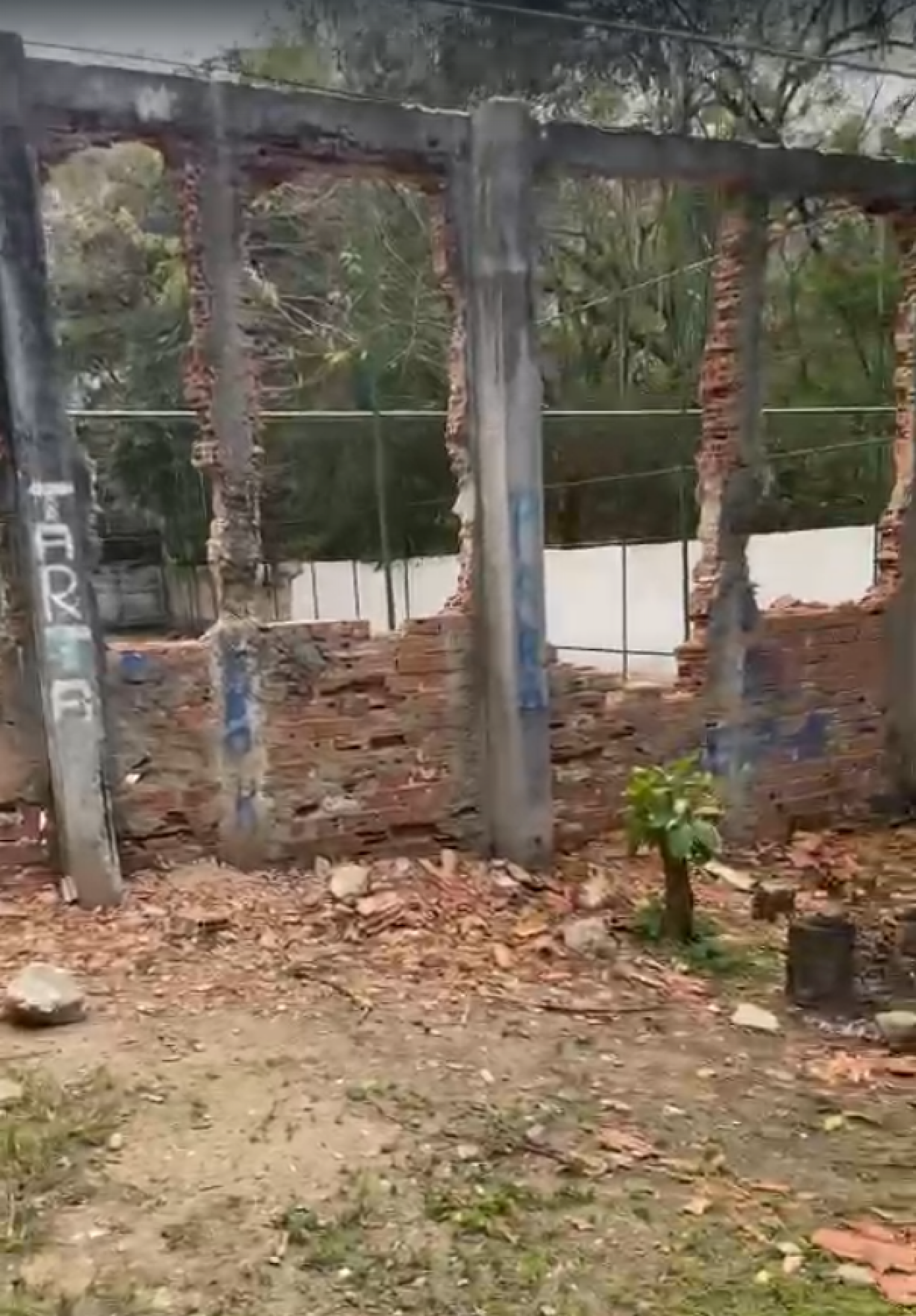 Entorno do campo foi destruído para reforma - Reprodução / Redes sociais