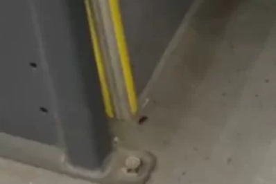 Passageiro flagra baratas em ônibus da Salineira, em Cabo Frio