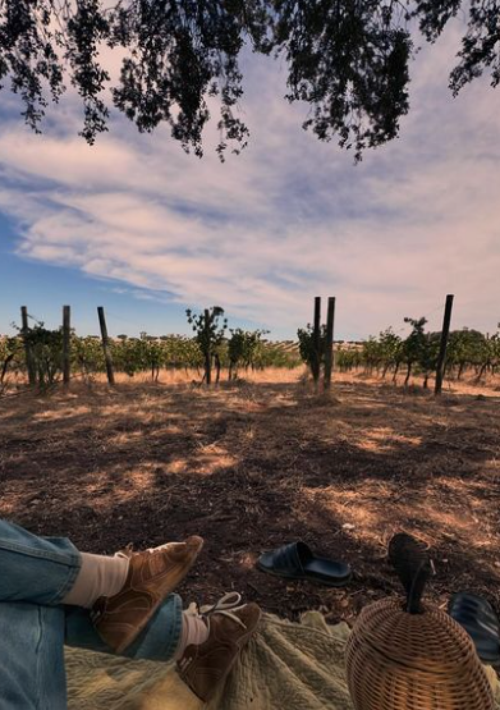 Carolina Dieckmann faz piquenique durante férias em Portugal - Reprodução / Instagram