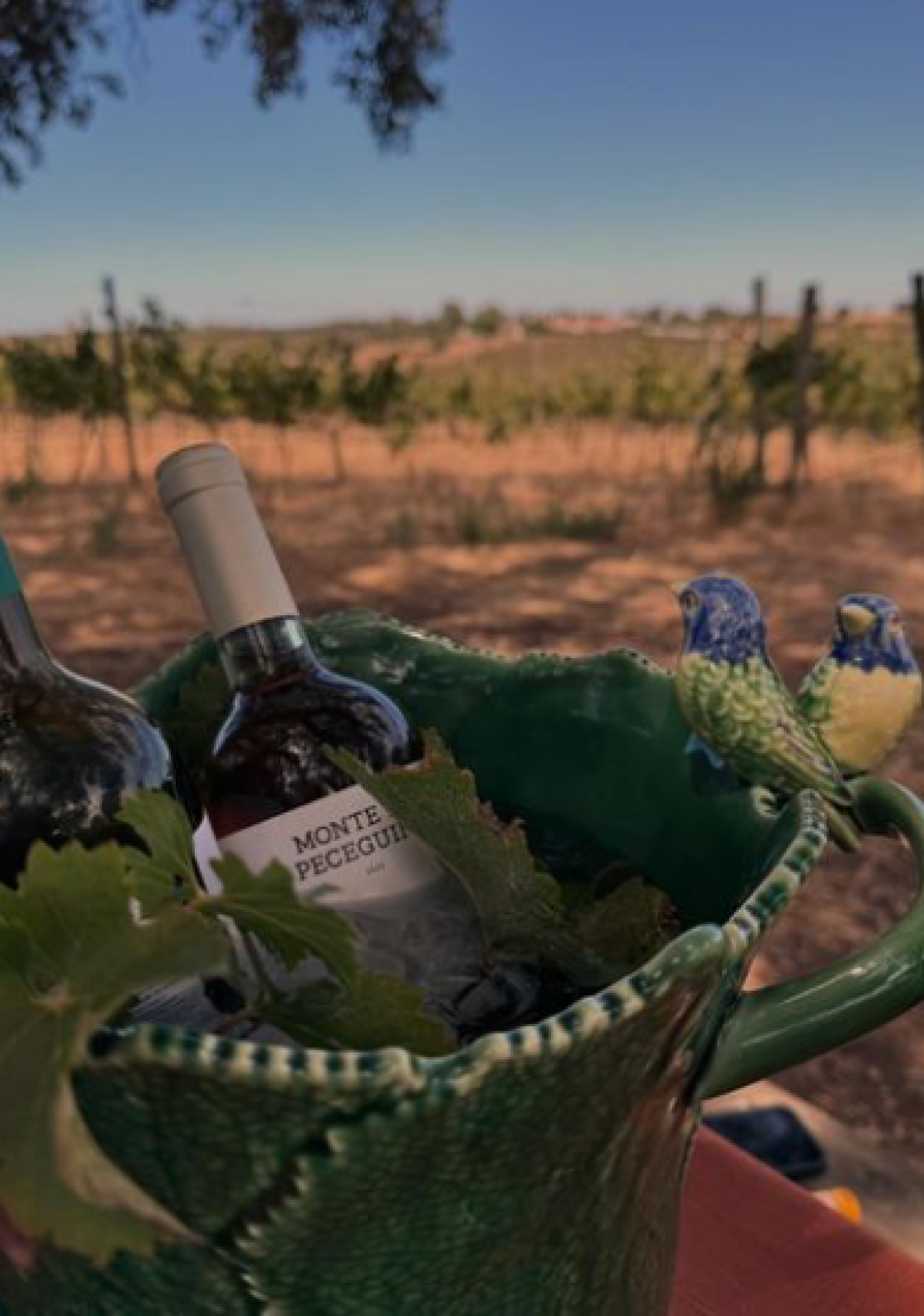 Carolina Dieckmann faz piquenique com vinhos em fazenda portuguesa - Reprodução / Instagram