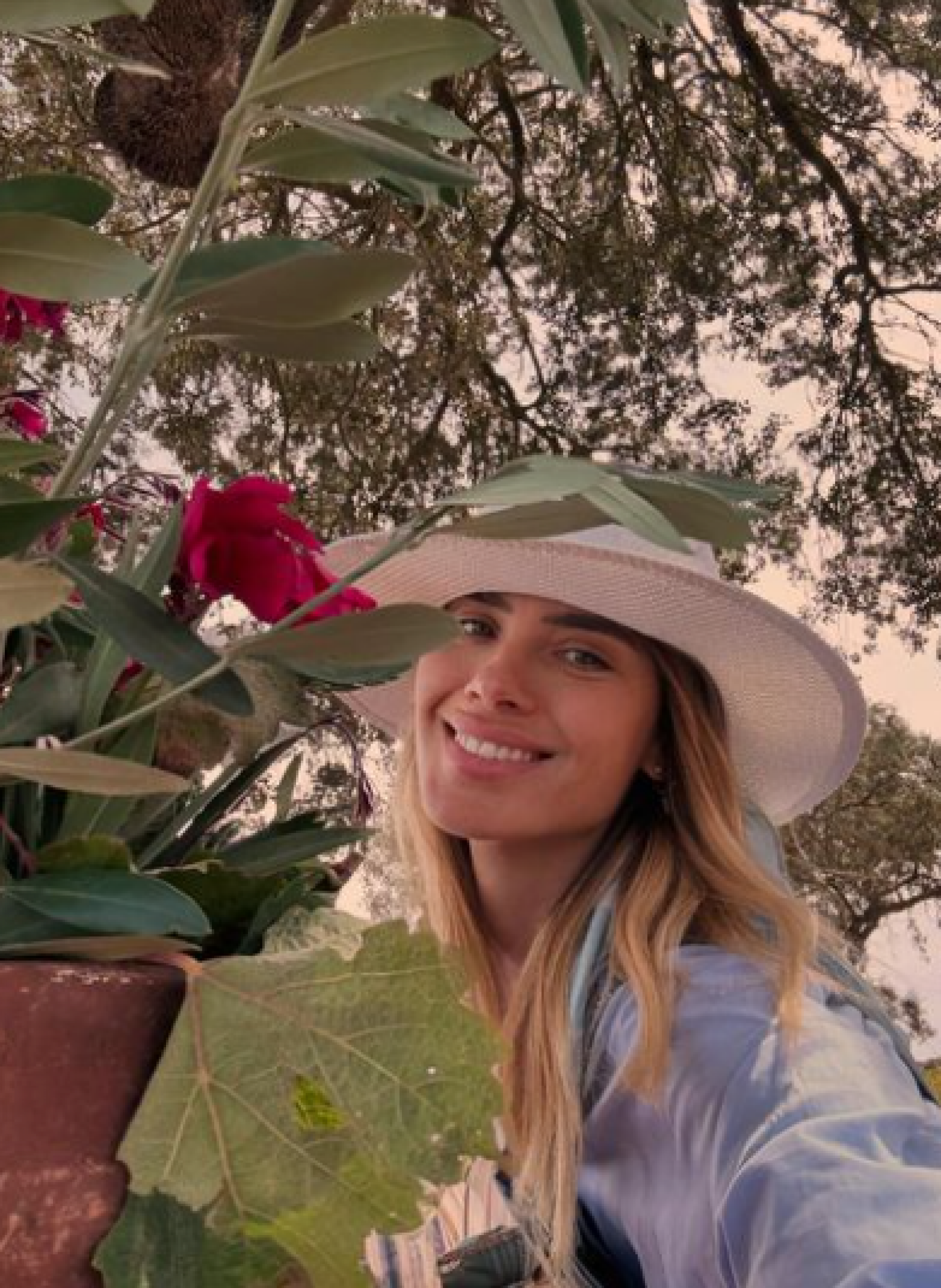 Carolina Dieckmann faz piquenique com vinhos em fazenda portuguesa - Reprodução / Instagram