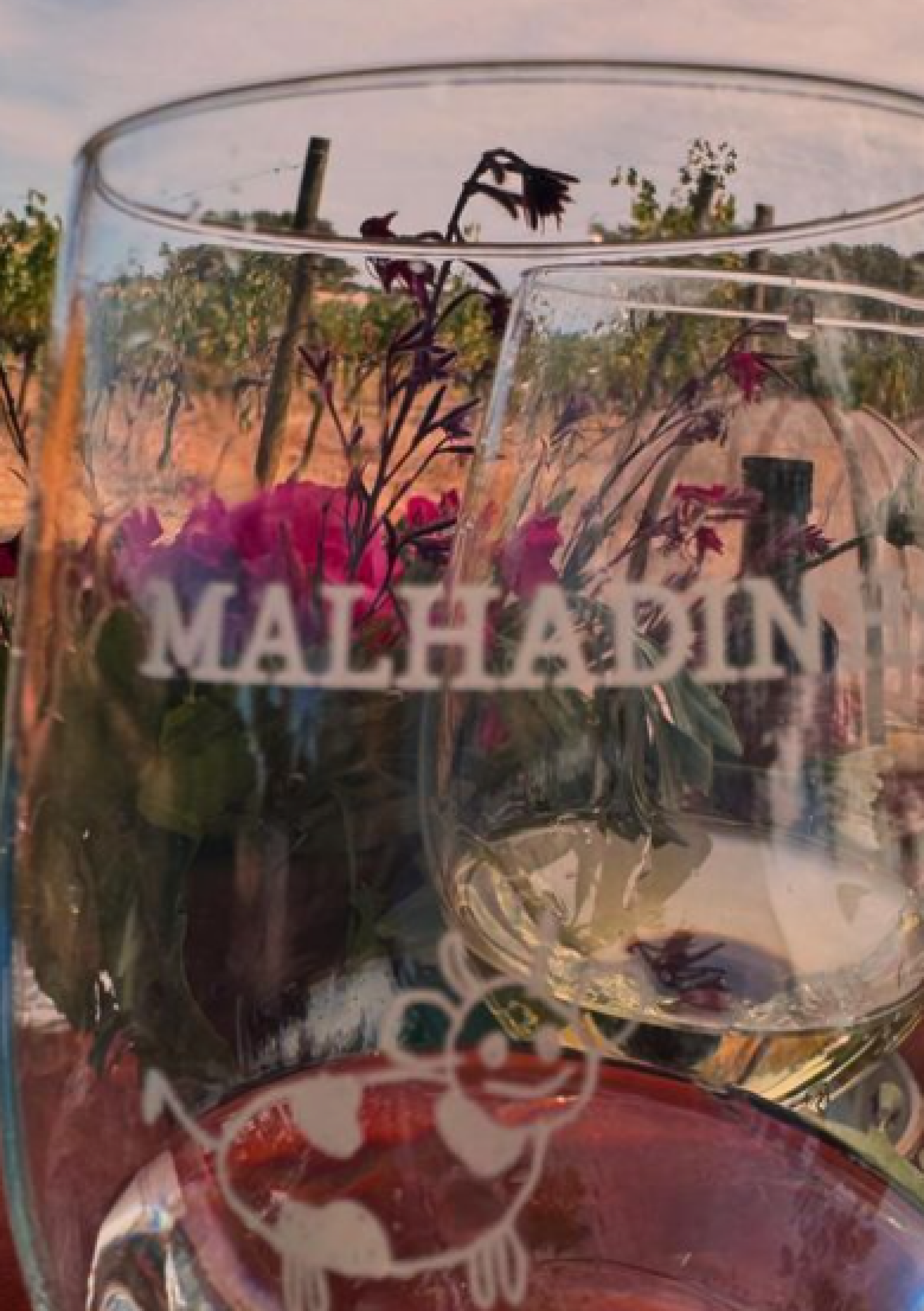 Carolina Dieckmann faz piquenique com vinhos em fazenda portuguesa - Reprodução / Instagram