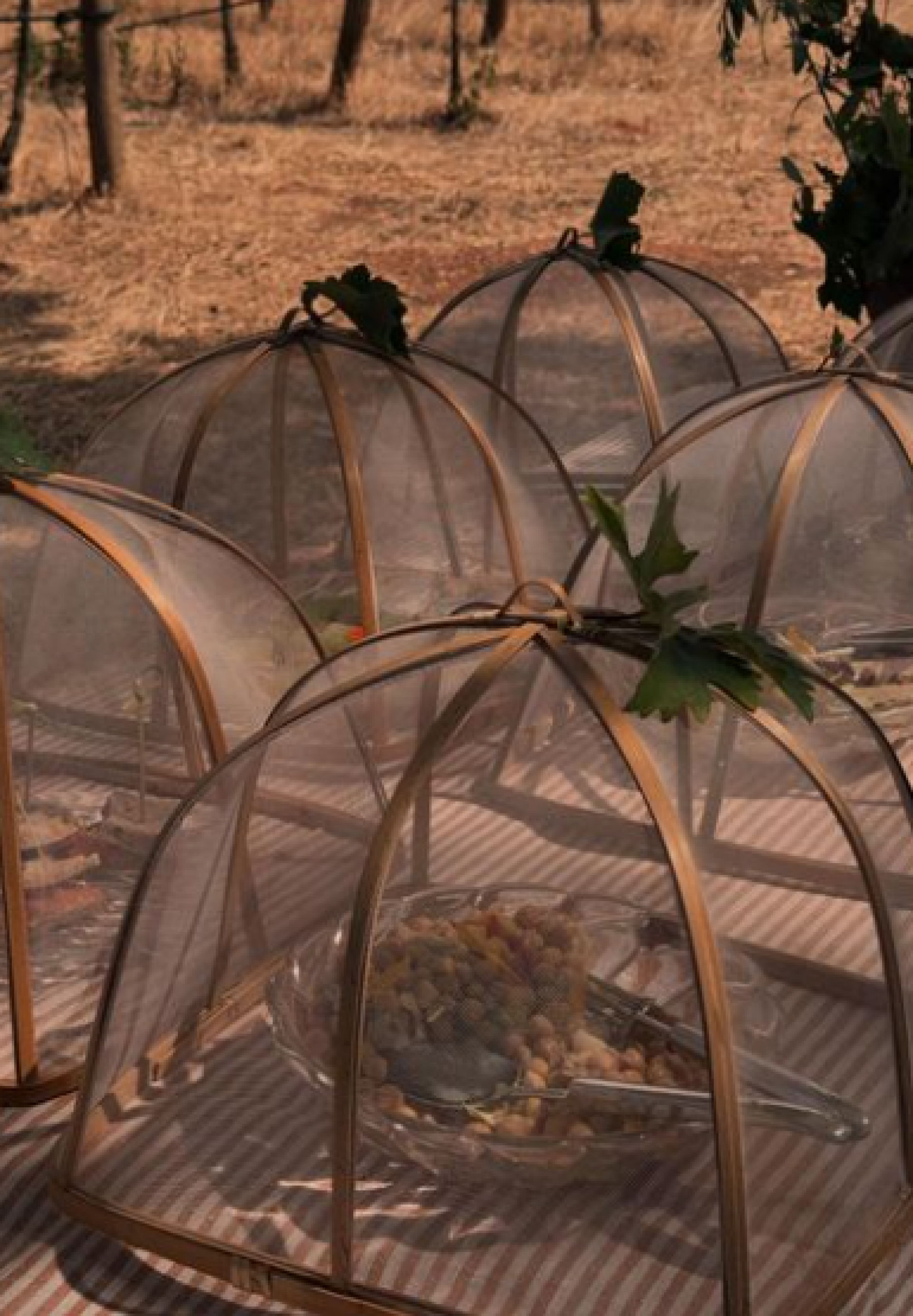 Carolina Dieckmann faz piquenique com vinhos em fazenda portuguesa - Reprodução / Instagram