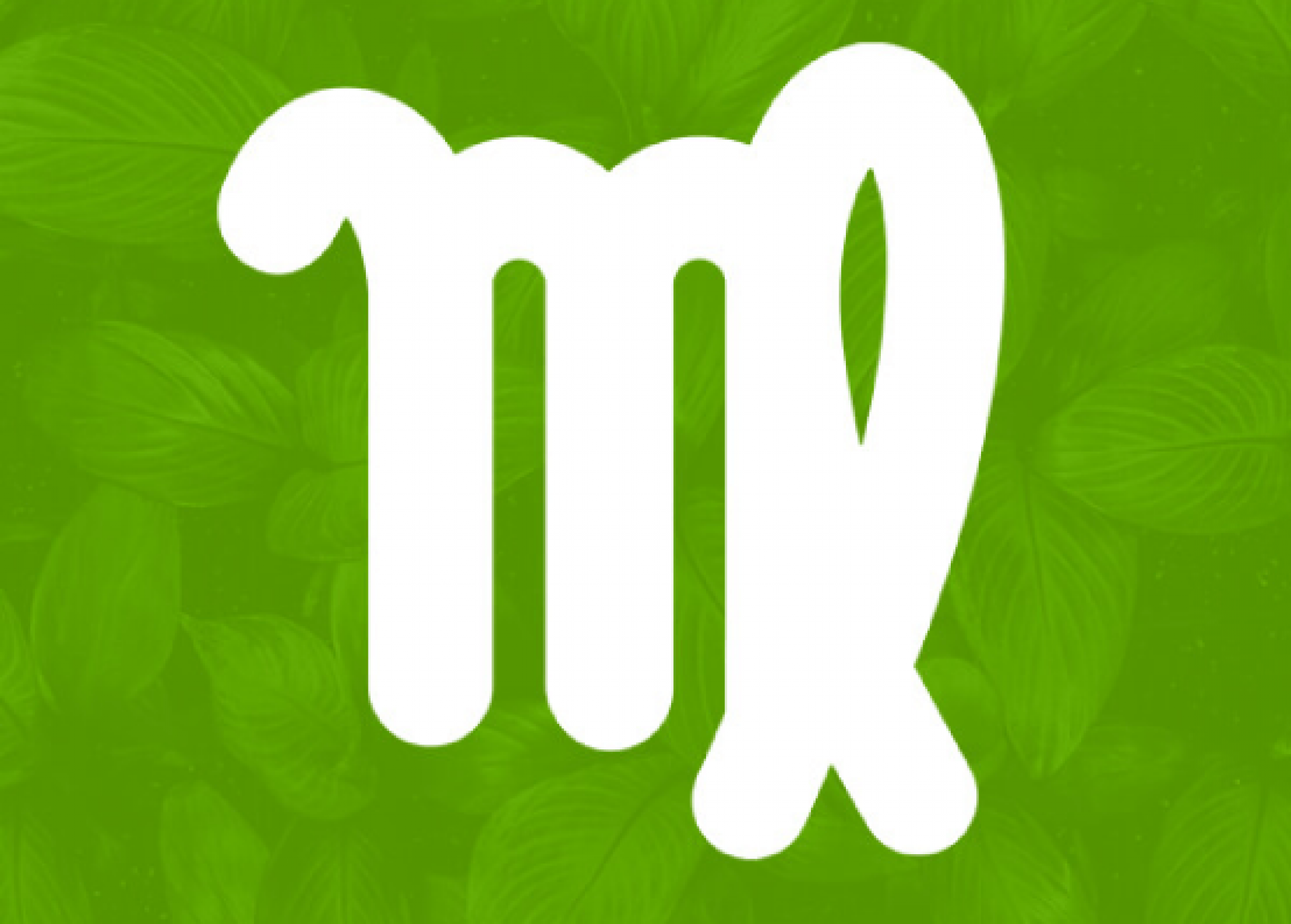 Mês de Virgem: como todos os signos podem aproveitar o período